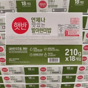 CJ 햇반 즉석밥 발아현미밥 210g(18입) 즉석밥 잡곡밥