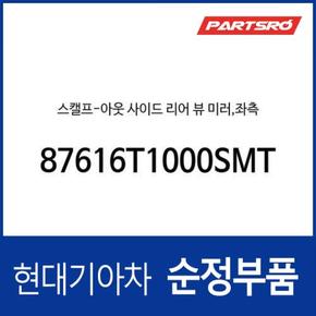 사이드미러 커버,좌측 (87616T1000SMT) 제네시스 더올뉴 G80 (RG3)