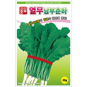 열무씨앗종자 남부춘하열무(500g)