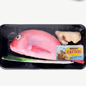 고양이 장난감 캣닢 생선 쿠션 인형 놀이 캣 토이[36017076]