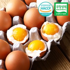 [무항생제/HACCP] 웰굿 촉촉한 반숙계란 반숙란 30구(1판)