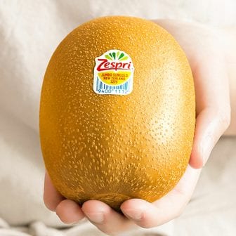제스프리 [맛젤] 제스프리 메가점보 골드키위 2.9kg(개당 185g 내외, 16입)