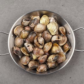 남해안 왕 바지락 1kg (45미내외)