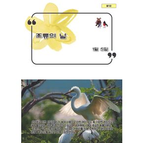 조류의 날