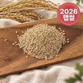 [2026년산] 국산 현미찹쌀 1kg