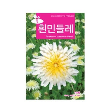  화분백화점 씨앗 꽃씨 잔디씨앗 배양토 모종판 나무씨앗 풀씨 (CN) 흰민들레 씨앗 (100립)