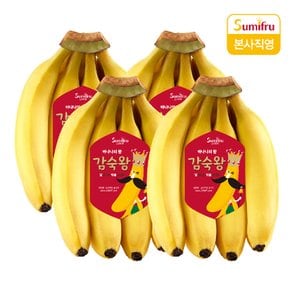 감숙왕 바나나 3.2kg (총 4개)
