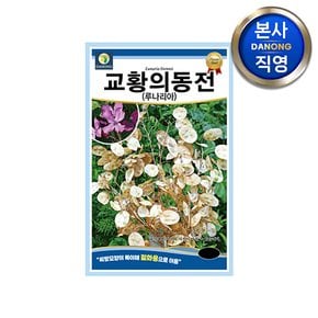 교황의동전 루나리아 씨앗 1g . 머니플랜트 절화용 화단 꽃밭 꽃 정원 꽃씨 종자