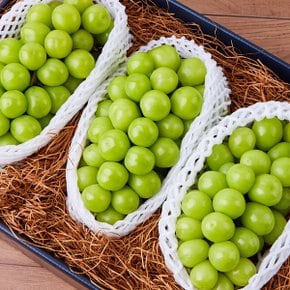 달콤아삭 가정용 고당도 샤인머스켓 3kg(5-6수)