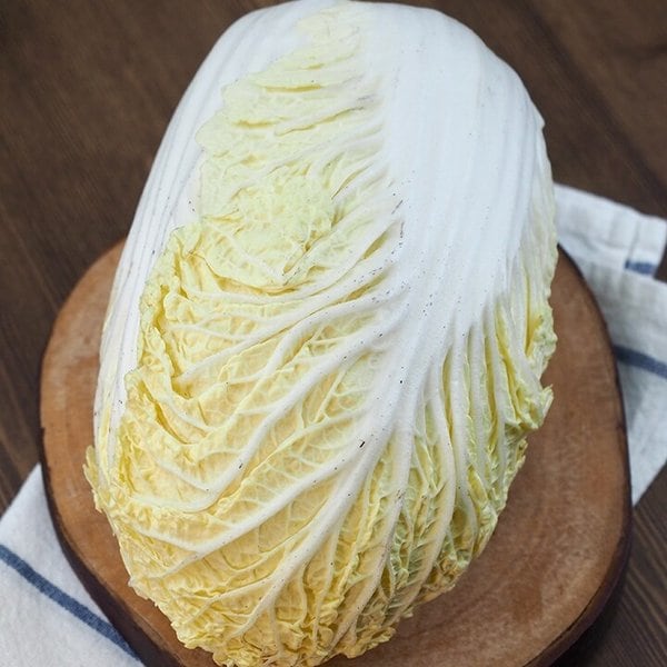 확대된 대표 이미지 P