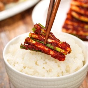 실비파김치 500g/캔