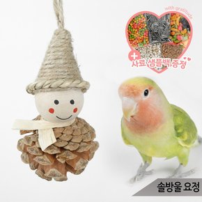 솔방울 요정 앵무새 장난감 로프 입질 용품 SA01387