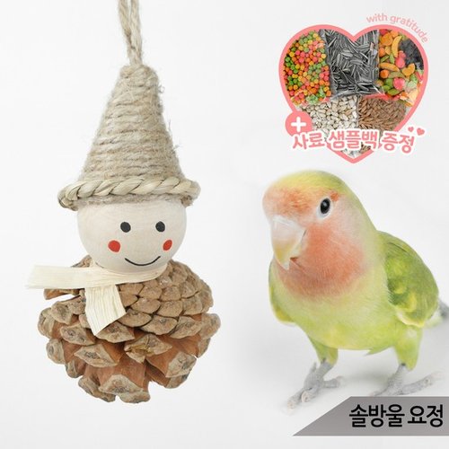 대표이미지