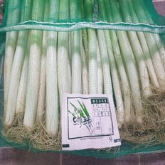 대파 국내산대파 깐대파 어슷썰기 600g 손질야채 당일생산(냉동X)