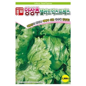 양상추씨앗종자 샐러드익스프레스 LMV free (1500립)