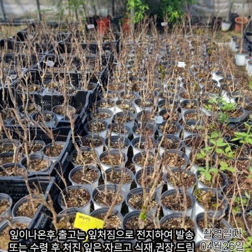 추가이미지3