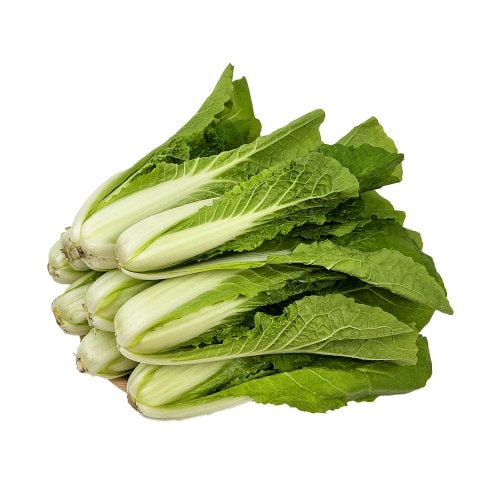 상품이미지2