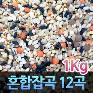 고인돌 H건강한 혼합잡곡 혼합곡 잡곡쌀 12곡 잡곡1kg