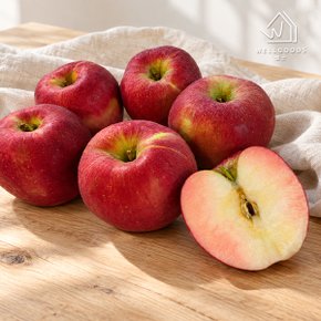 경북 피치애플 정품 엔부 사과 3kg(13-14과내외,중과)