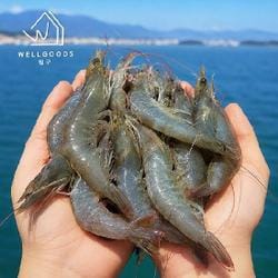 [웰굿] 국내산 흰다리새우 활새우 1kg(30-40마리내외)
