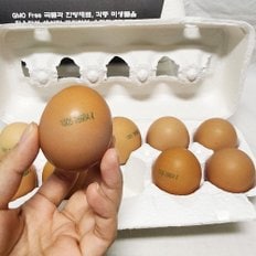 자연방목 동물복지 유정란 40개입 (특란,60g~65g 이내)