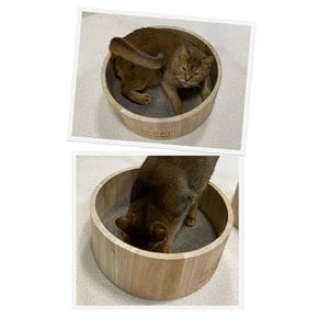도트캣 내추럴 오동나무 써클 리필 스크래쳐