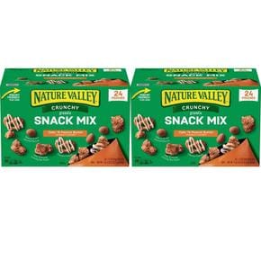 [해외직구] 네이처밸리 크런치 그래놀라 스낵 믹스 오트 N 피넛버터 24입 2팩 Nature Valley Crunchy Granola Snack Mix Oats N Peanut Butter