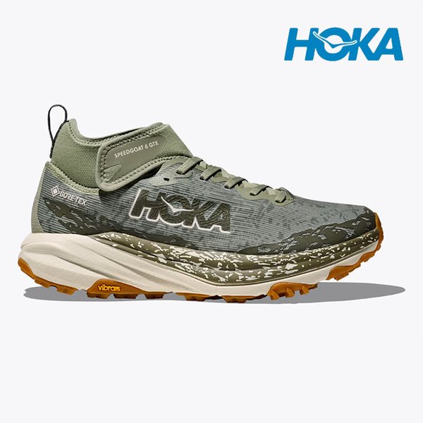 확대된 대표 1