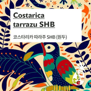 코스타리카 따라주 SHB, 500g