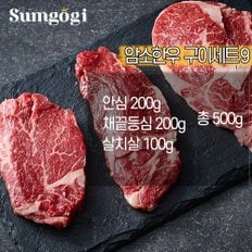 숙성 1등급 암소 한우 구이세트9 (안심200+채끝200+살치살100) 총 500g