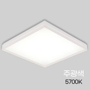 [비츠온]방등 LED 스퀘어 50W 소 KS 주광