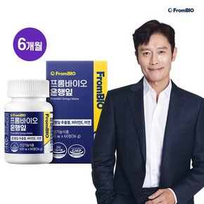 은행잎추출물 60정X3박스/6개월