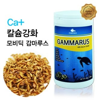 모비딕 감마루스 1000ml