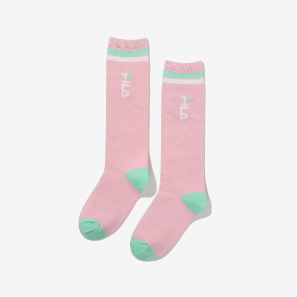 확대된 대표 1