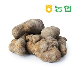 [북안동농협] 안동 산마 (알뜰)2kg