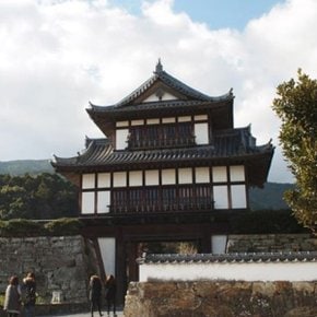 대마도 1무 1박 2일 이즈하라 힐링산책코스 해수욕장 한국전망대 황금나무와 여행친구들