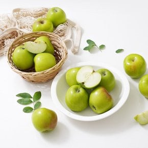 [산지직송] 가정용 햇 초록사과 3kg 꼬마소과 (19-24과)