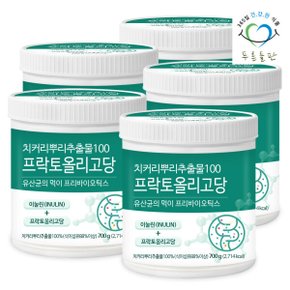 치커리 뿌리 추출물 100% 프락토 올리고당 이눌린 식이섬유 분말 가루 700g 5통