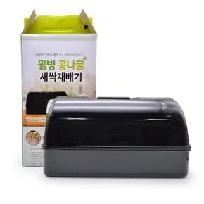 웰빙콩나물새싹재배기_블랙0389 (S9047349)