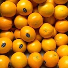  블랙라벨 고당도 오렌지 특대과 10개 2.3kg내외