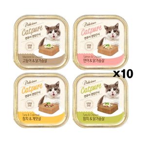 캣퓨어 영양간식 사각캔 100g X10개 고양이 습식간식