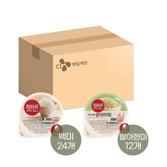  햇반 210g x24개+발아현미밥 210g x12개(총 36개)