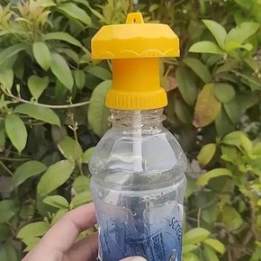 위생적인 곤충 해충 과일 파리 트랩/날파리 초파리 벌