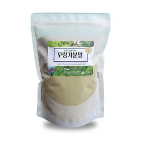 모링가분말 500g 밀폐통 인도네시아 모링가잎가루