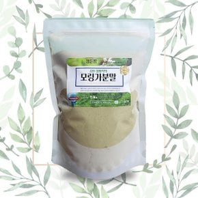 모링가분말 500g 밀폐통 인도네시아 모링가잎가루