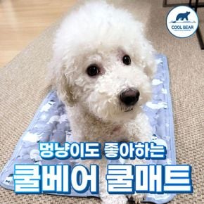 [쿨베어] 시원한 침구 쿨매트 사이즈별 기획전[31980641]