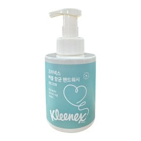 버블 항균 핸드워시 힐링그린 500ml 1개