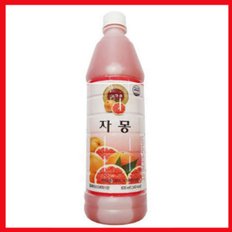 청솔 자몽 과일 원액 음료 베이스 835ml x 3개