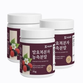 발효복분자 농축 분말 고창복분자 가루 3통