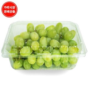 맛다름 [가락시장경매식자재과일][미국] 청포도 4kg내외